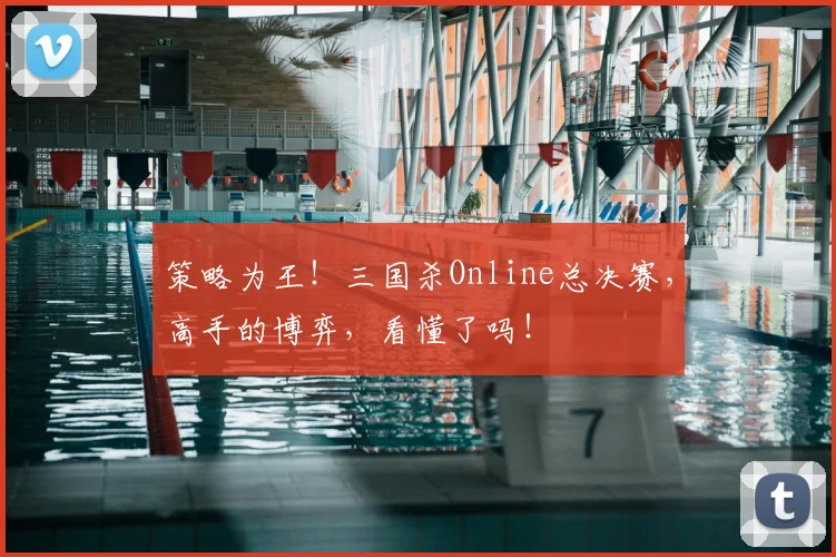策略为王！三国杀Online总决赛，高手的博弈，看懂了吗！