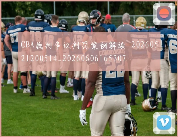 CBA裁判争议判罚案例解读_20260521200514_20260606165307