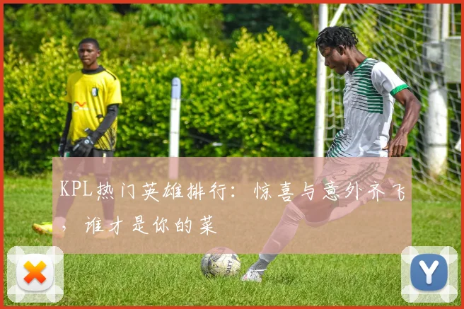 KPL热门英雄排行：惊喜与意外齐飞，谁才是你的菜
